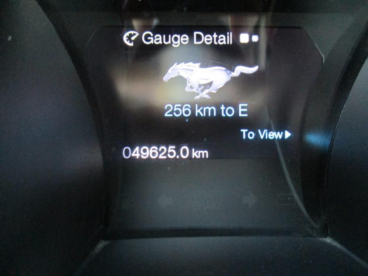 2014 Ford Mustang GT Coupe Photo16