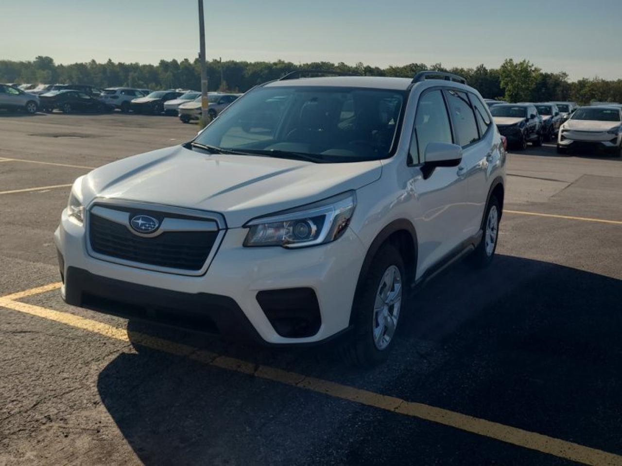 Used 2020 Subaru Forester AWD | Heated Seats | Adaptive Cruise | Rear Camera | CarPlay + Android | and More ! for sale in Guelph, ON