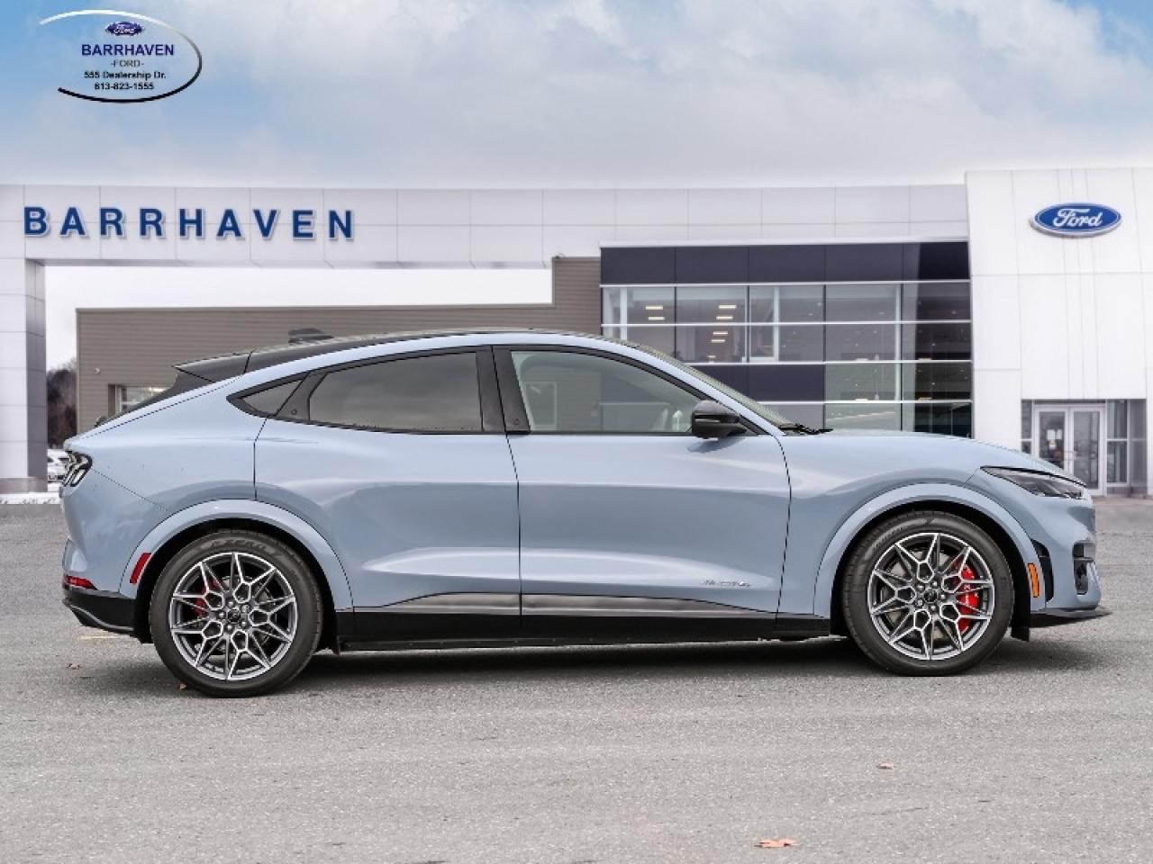 2025 Ford Mustang Mach-E GT Photo