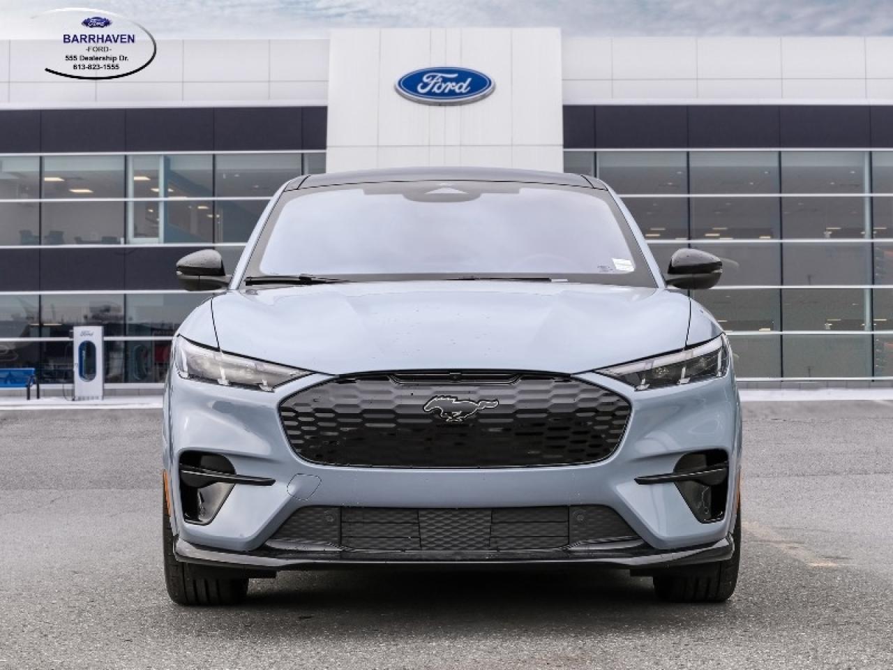 2025 Ford Mustang Mach-E GT Photo