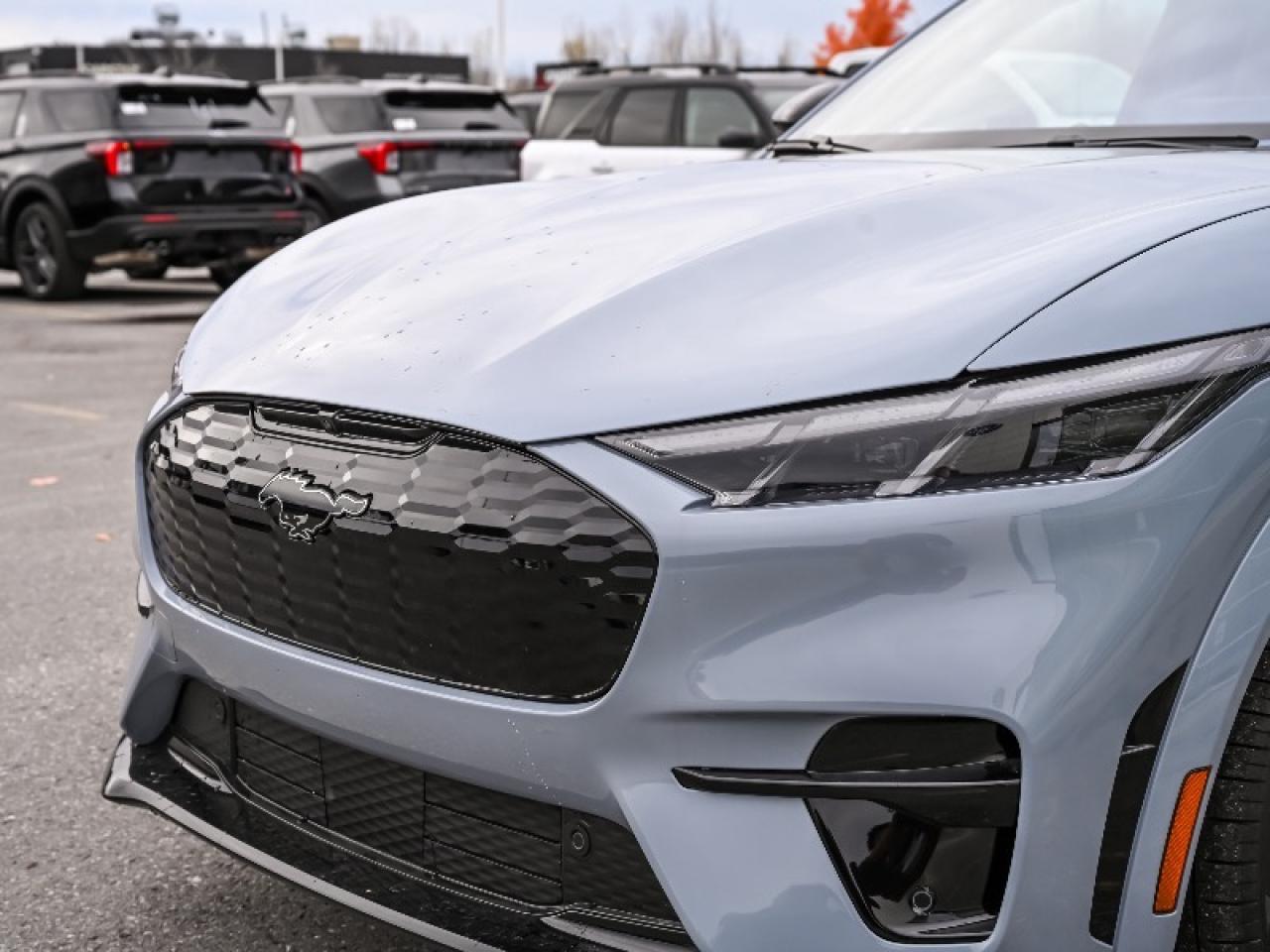 2025 Ford Mustang Mach-E GT Photo