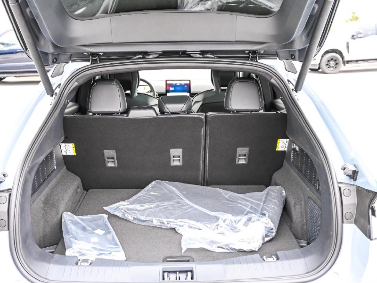 2025 Ford Mustang Mach-E GT Photo