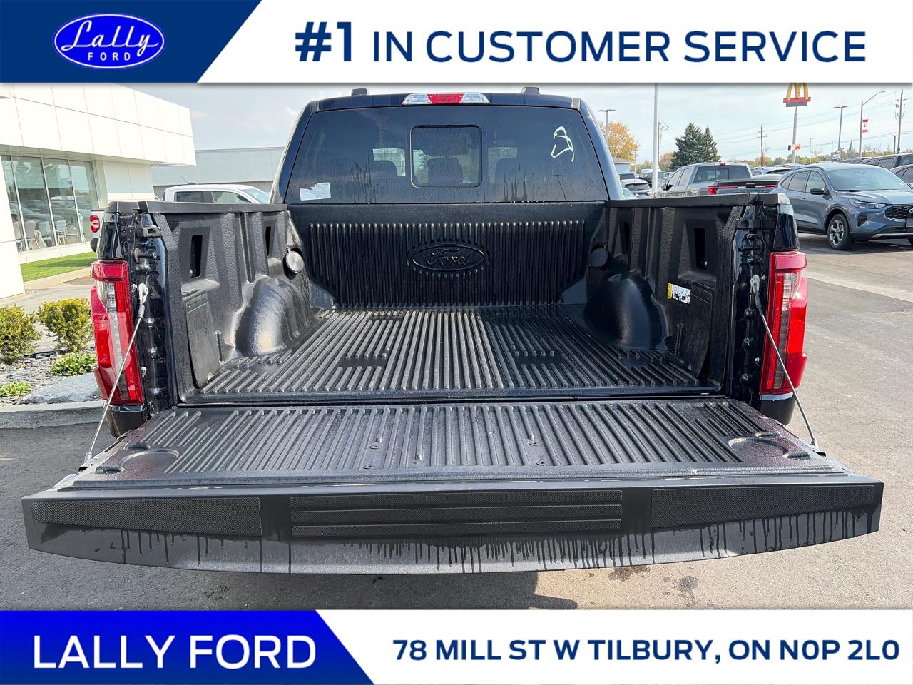 2025 Ford F-150 XLT Photo4