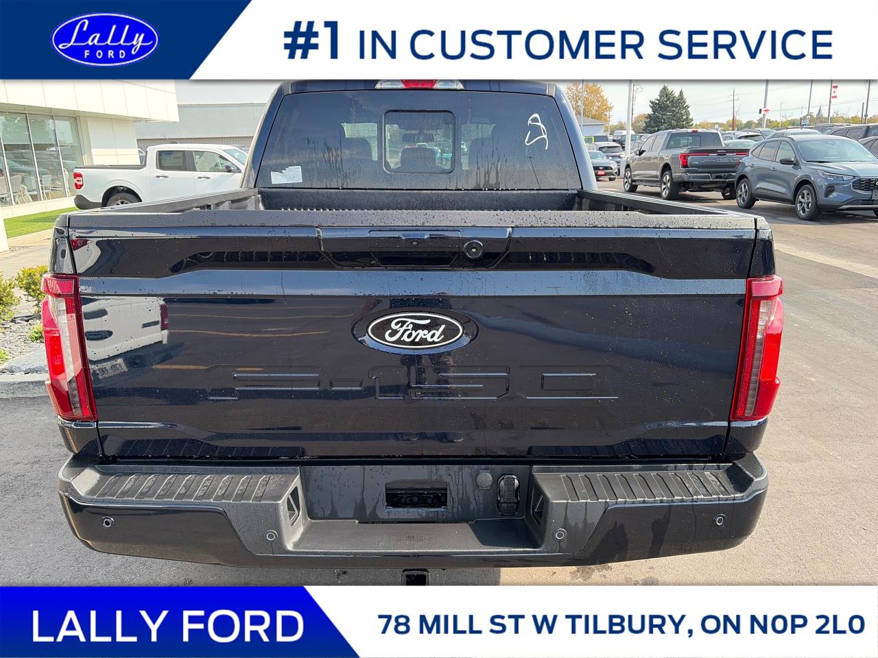 2025 Ford F-150 XLT Photo3