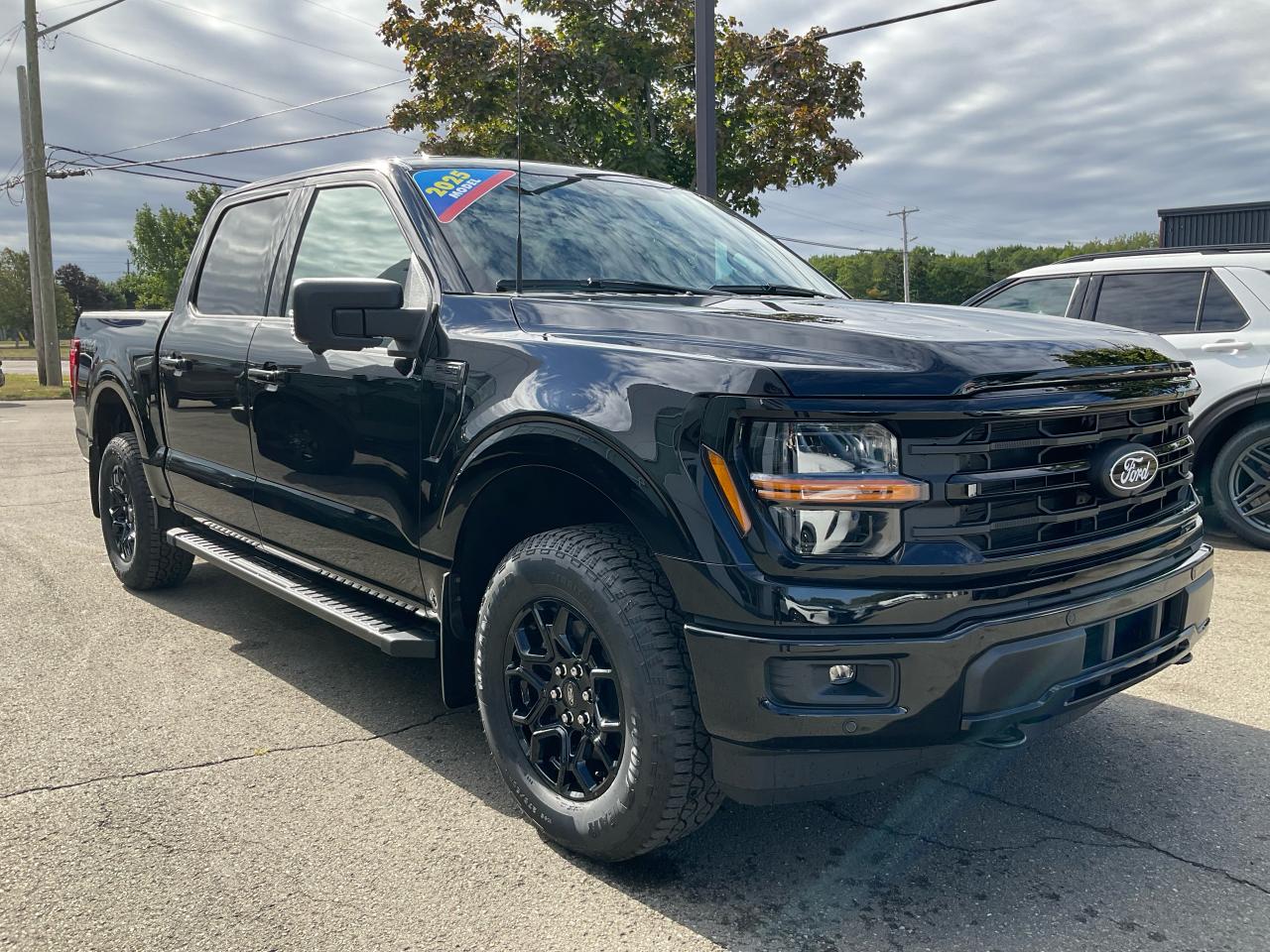 2025 Ford F-150 XLT Photo2