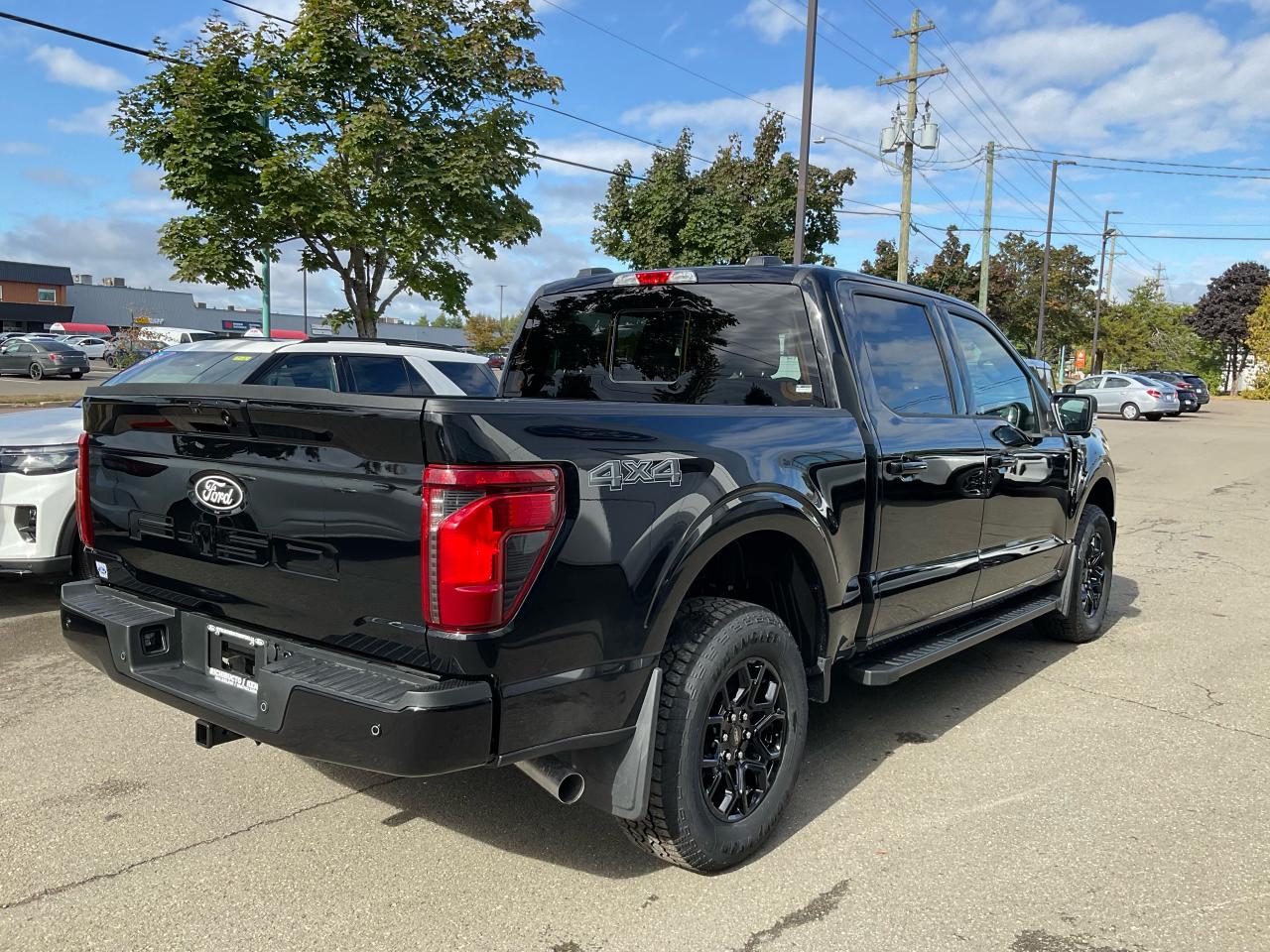 2025 Ford F-150 XLT Photo4