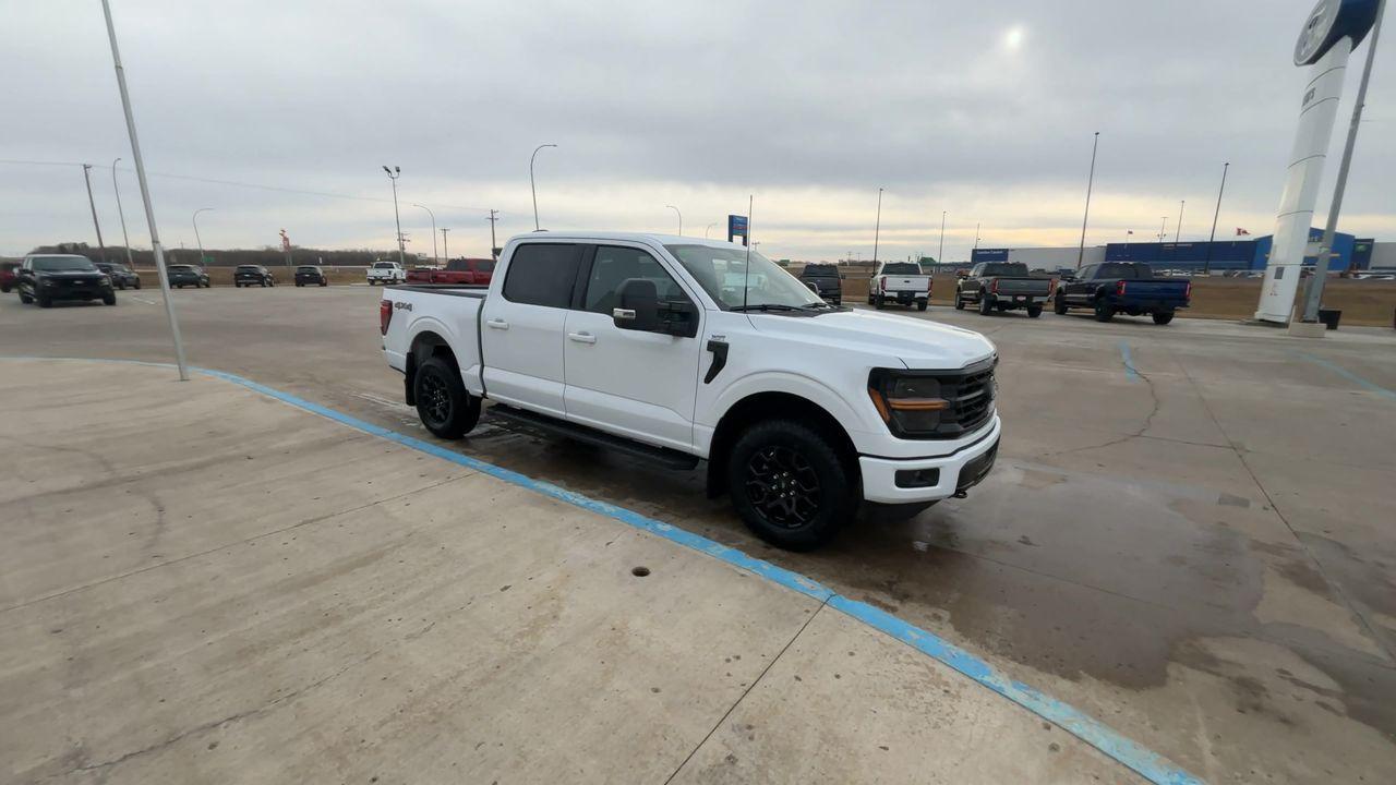 2025 Ford F-150 XLT 4WD SuperCrew 5.5' Box Photo1