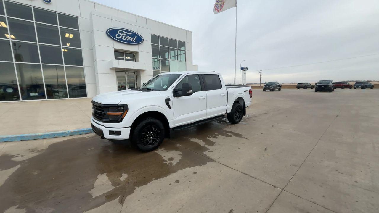 2025 Ford F-150 XLT 4WD SuperCrew 5.5' Box Photo3