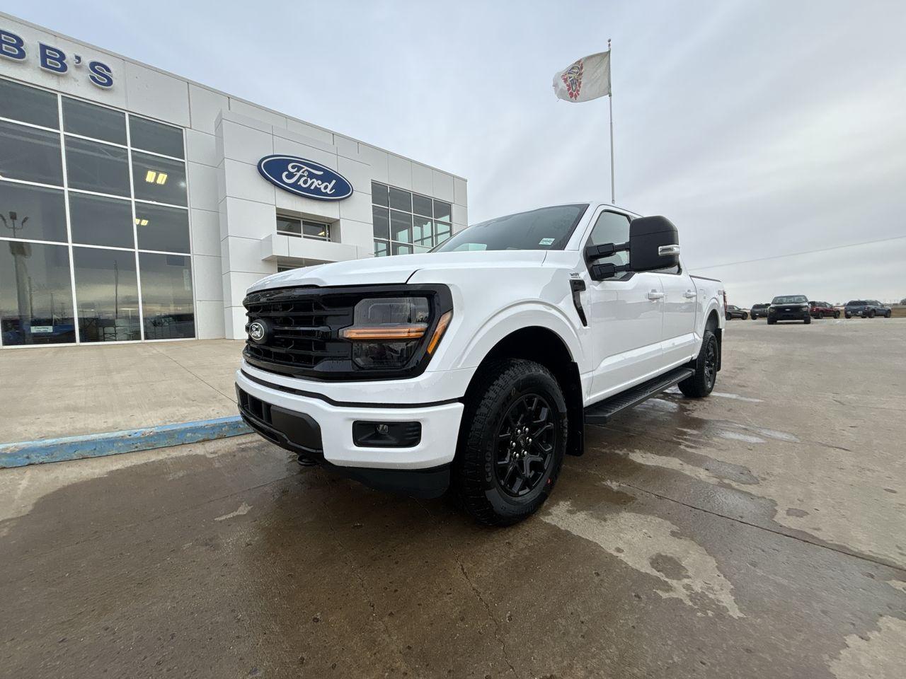 2025 Ford F-150 XLT 4WD SuperCrew 5.5' Box Photo0