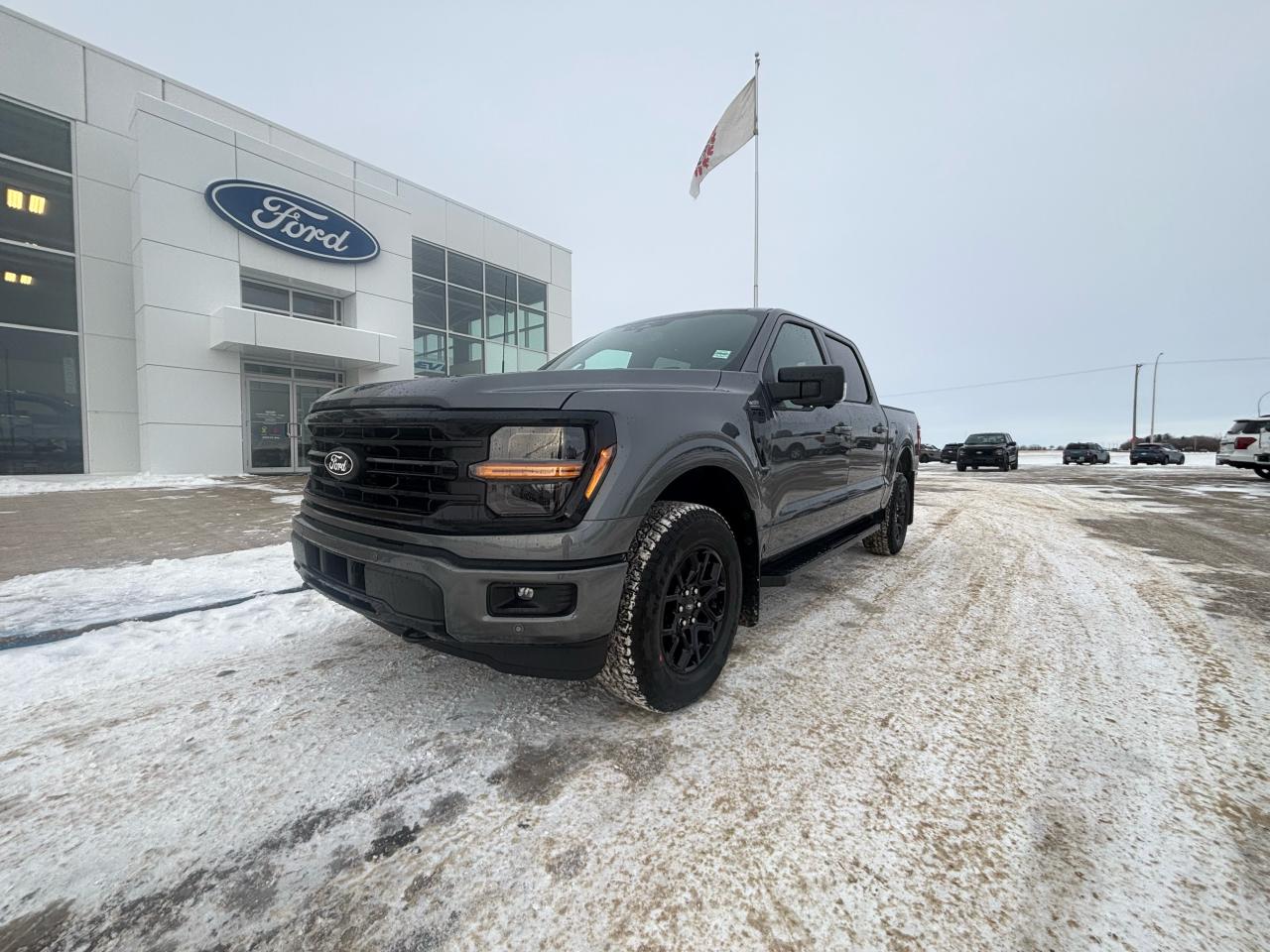 2025 Ford F-150 XLT 4WD SuperCrew 5.5' Box Photo0