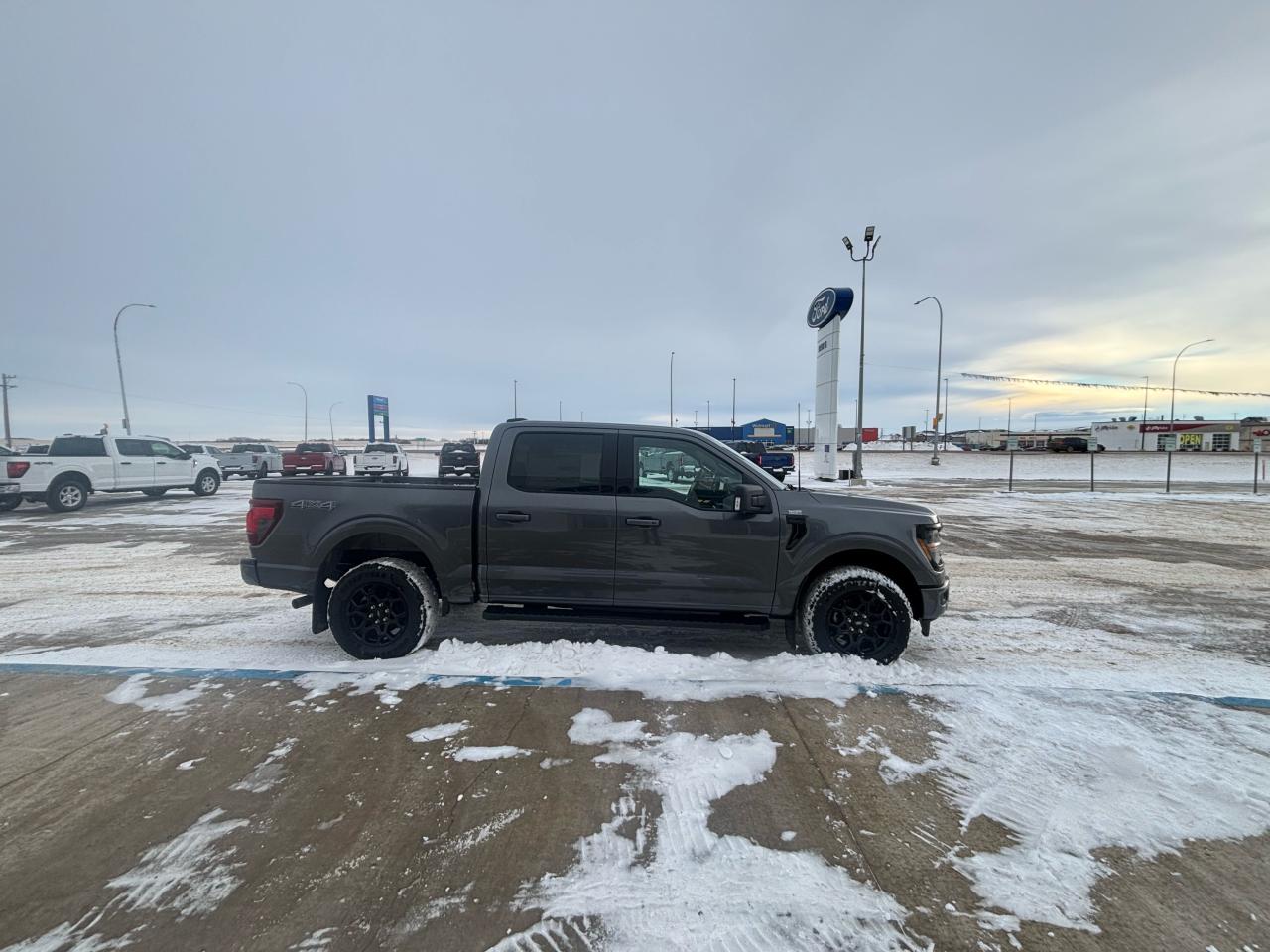 2025 Ford F-150 XLT 4WD SuperCrew 5.5' Box Photo3