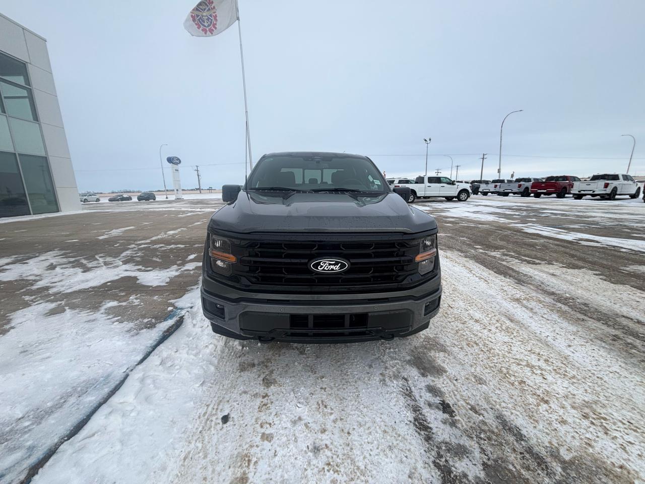 2025 Ford F-150 XLT 4WD SuperCrew 5.5' Box Photo4