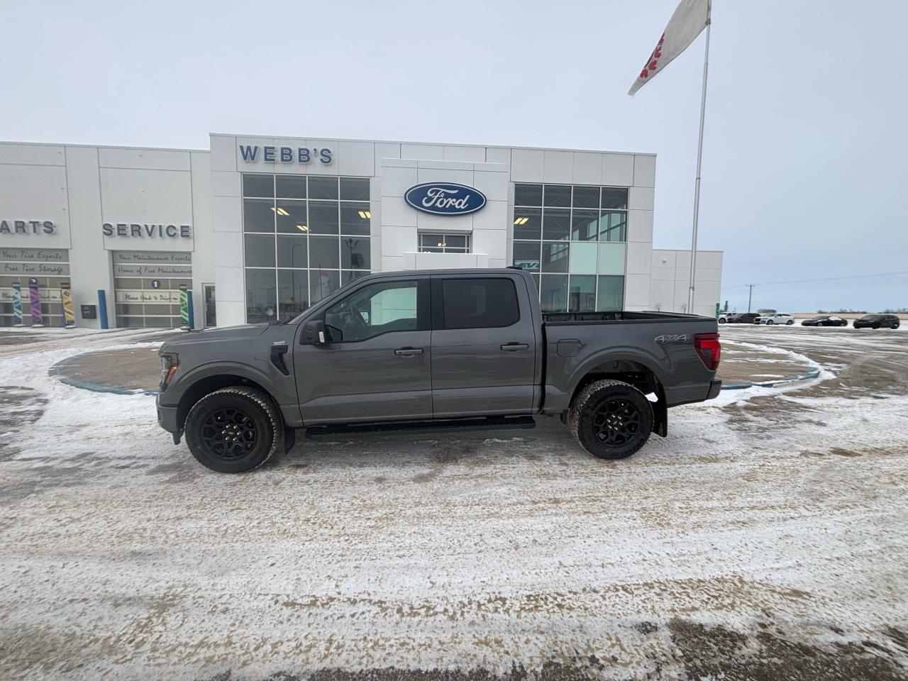 2025 Ford F-150 XLT 4WD SuperCrew 5.5' Box Photo1