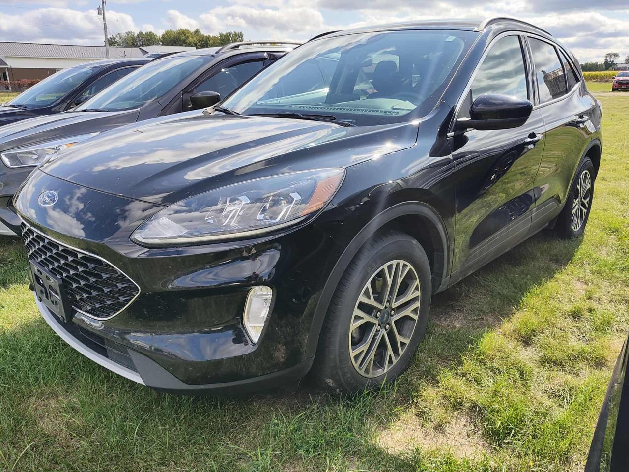 Used 2020 Ford Escape SEL for sale in Pembroke, ON