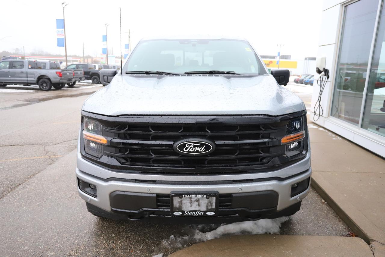 2025 Ford F-150 XLT 4WD SuperCrew 5.5' Box Photo