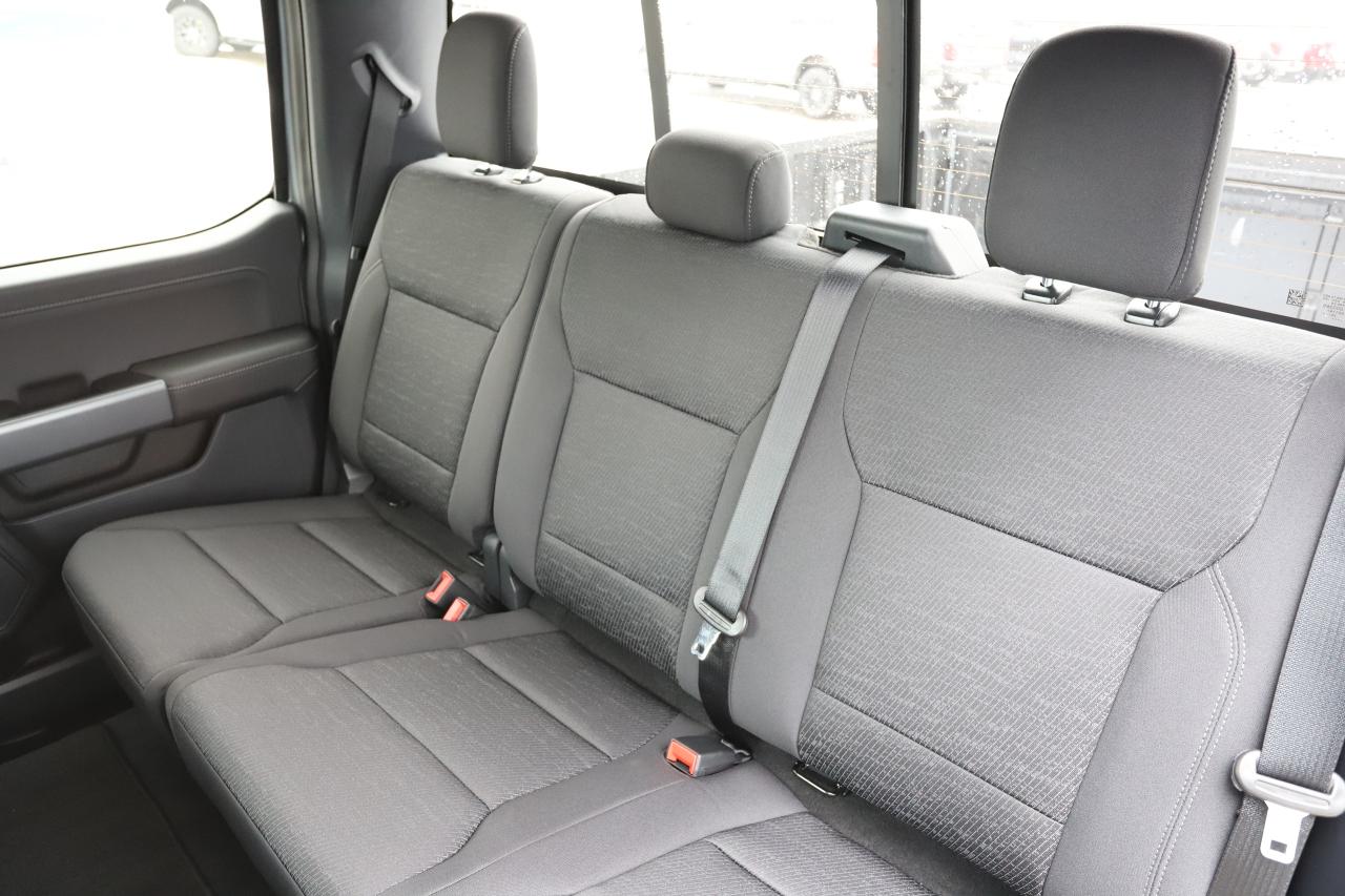 2025 Ford F-150 XLT 4WD SuperCrew 5.5' Box Photo