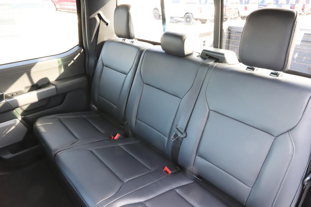 2025 Ford F-150 XLT 4WD SuperCrew 5.5' Box Photo