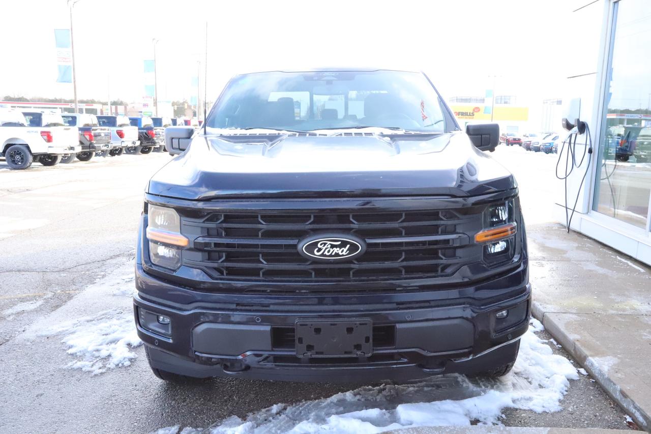 2025 Ford F-150 XLT 4WD SuperCrew 5.5' Box Photo