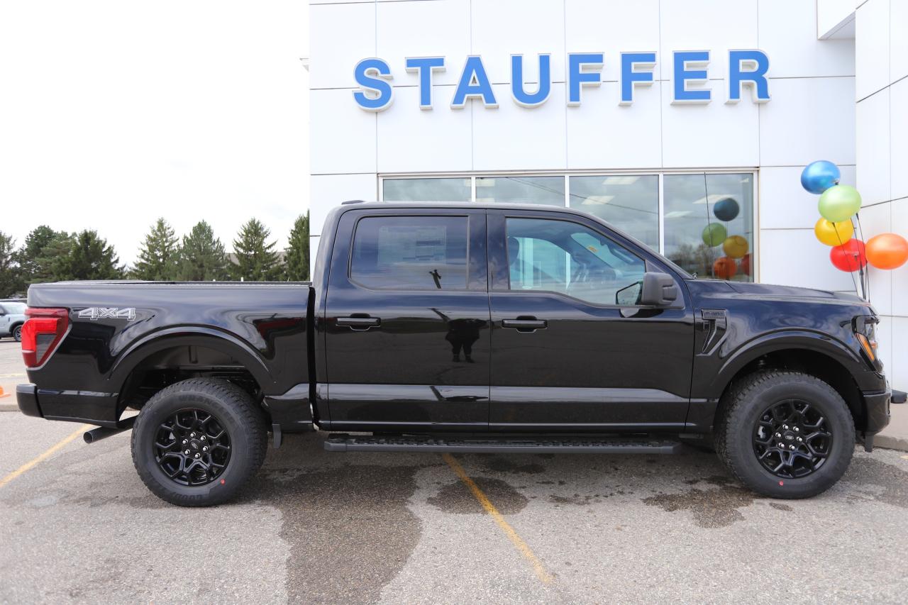 2025 Ford F-150 XLT 4WD SuperCrew 5.5' Box Photo