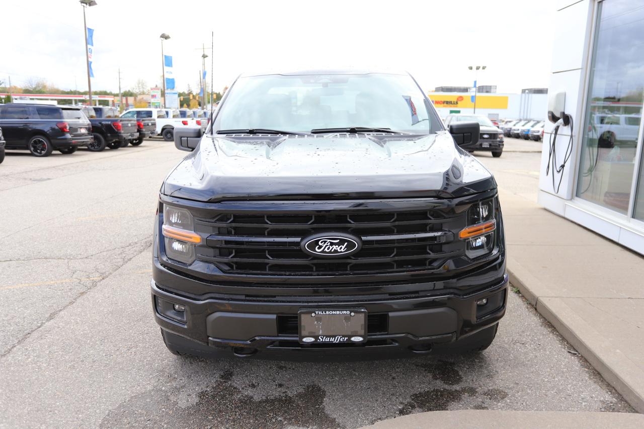 2025 Ford F-150 XLT 4WD SuperCrew 5.5' Box Photo