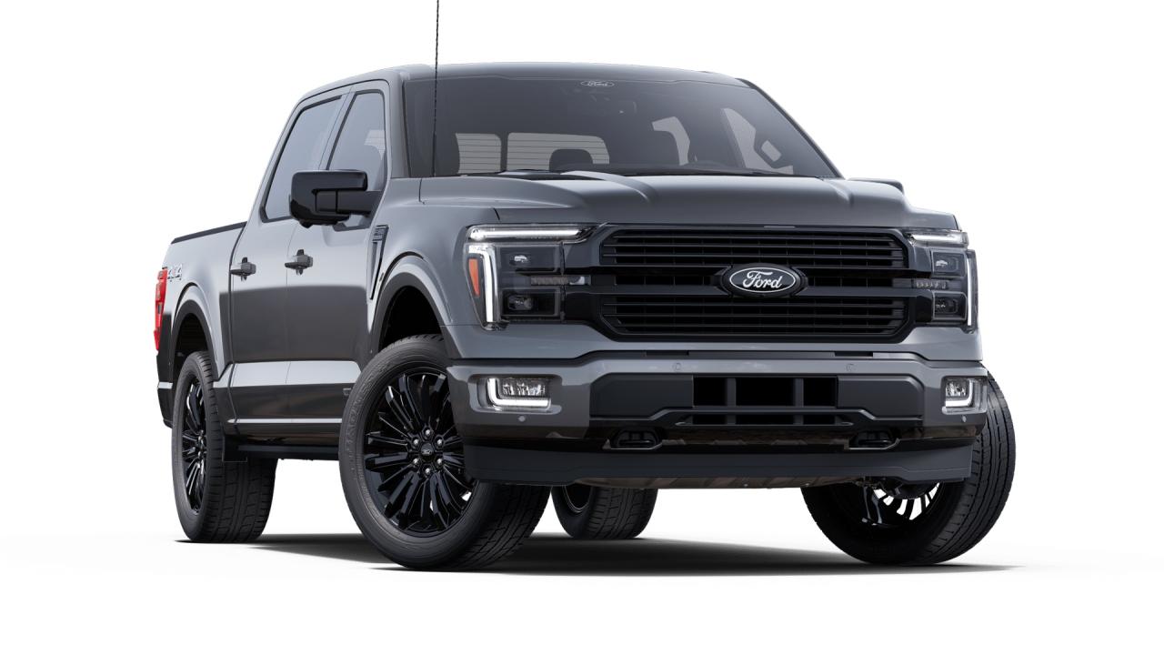 2025 Ford F-150 4x4 Platinum-145 Photo3