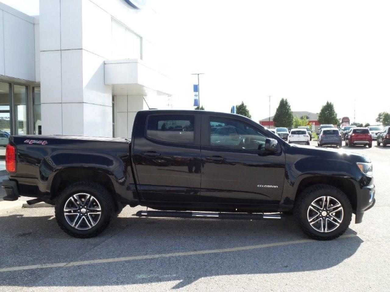 2019 Chevrolet Colorado 4WD Work Truck Photo