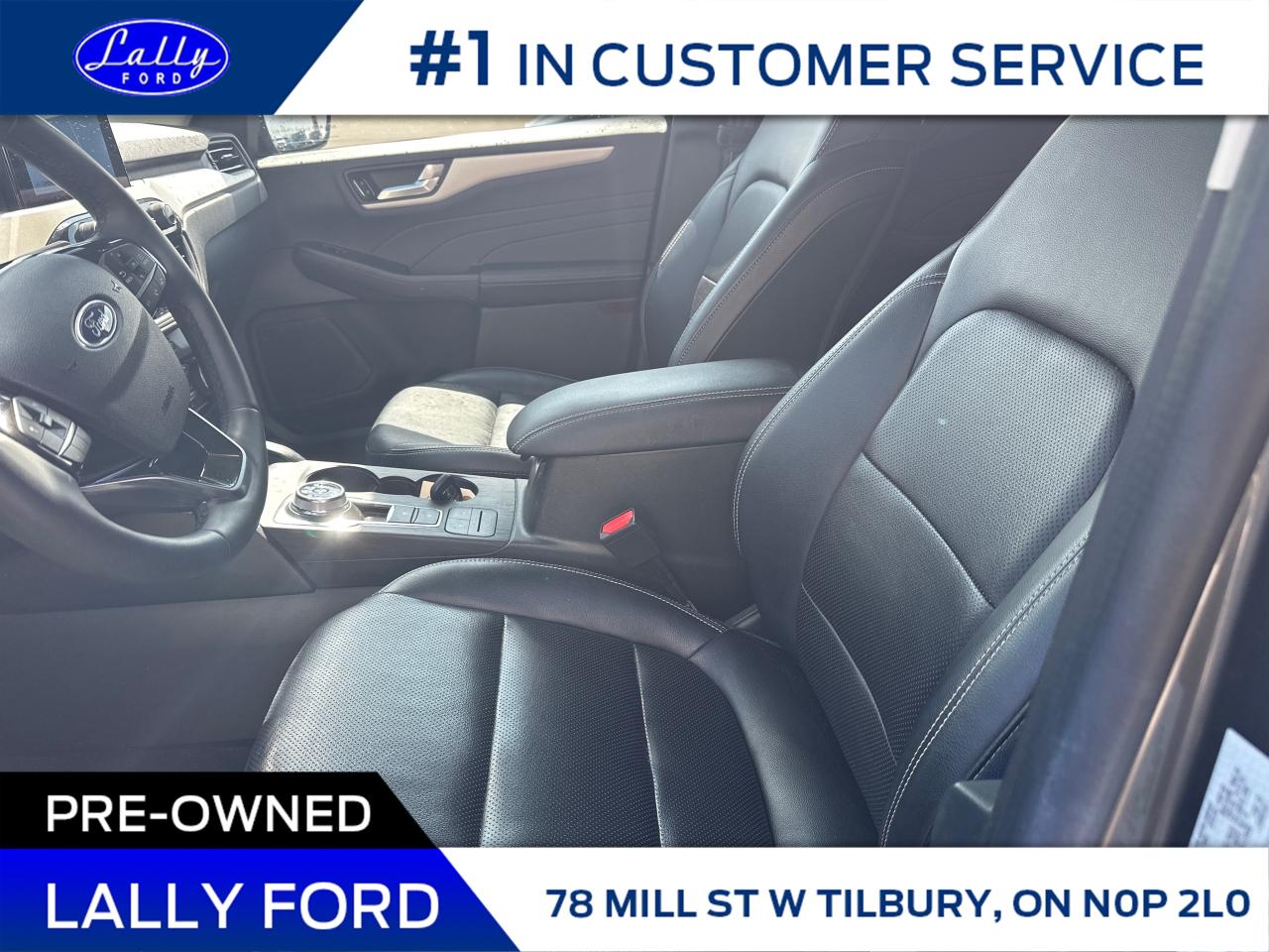2022 Ford Escape PHEV SEL Leather, Nav, Trailer Tow! Photo