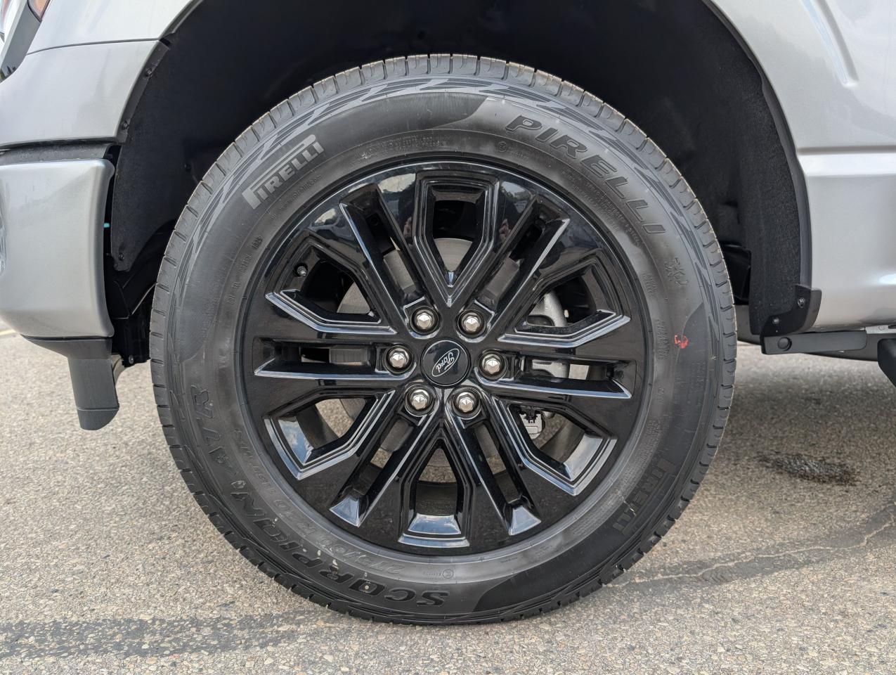 2025 Ford F-150 XLT Photo5