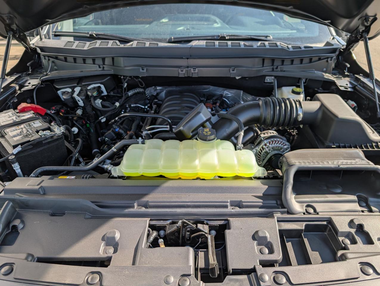 2025 Ford F-150 Tremor Photo5