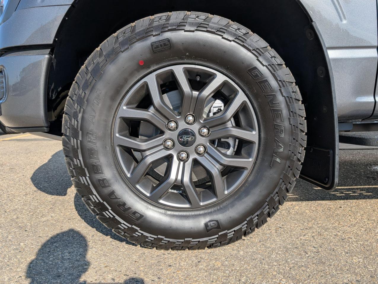 2025 Ford F-150 Tremor Photo5