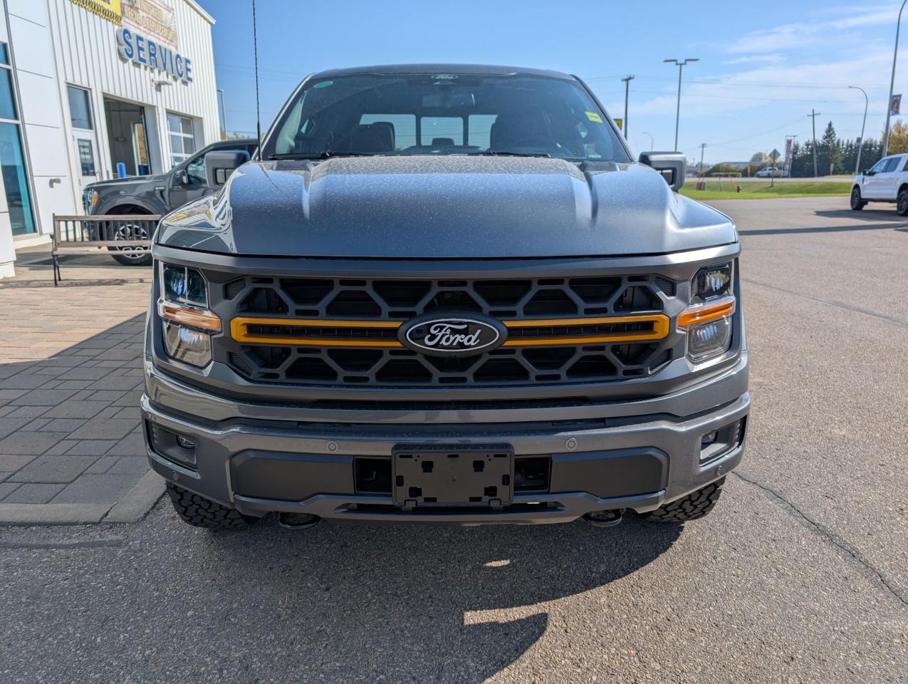 2025 Ford F-150 Tremor Photo