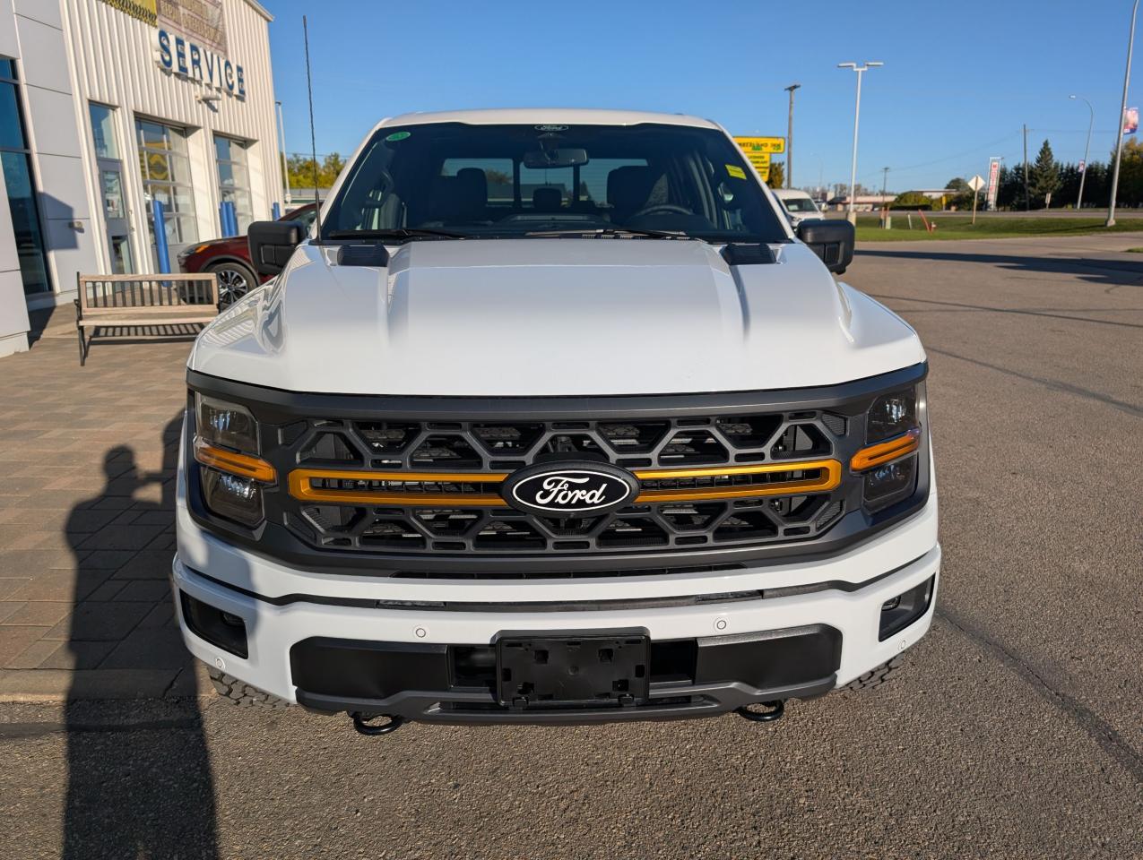 2025 Ford F-150 Tremor Photo2
