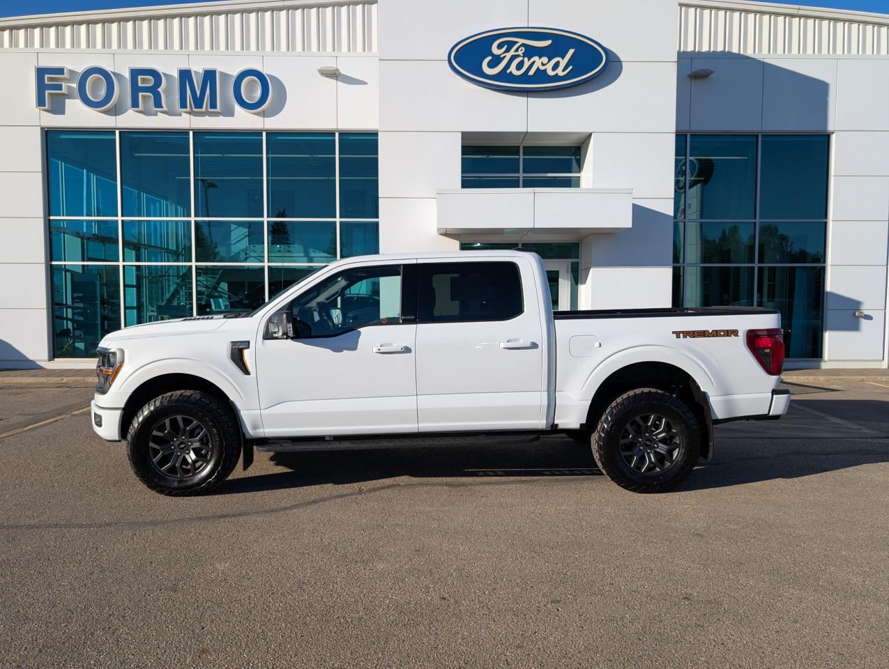 2025 Ford F-150 Tremor Photo0