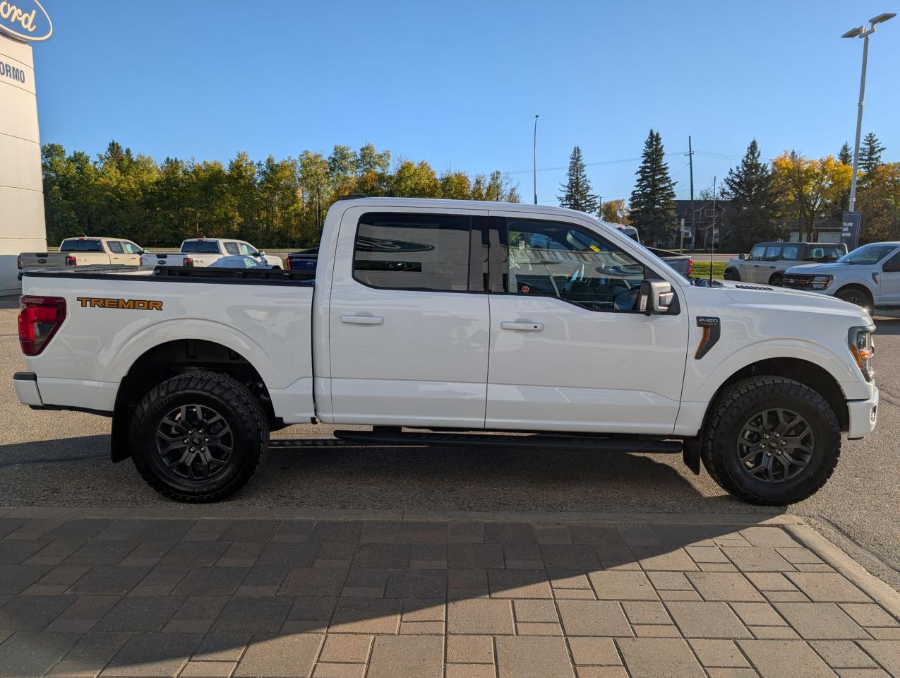 2025 Ford F-150 Tremor Photo4