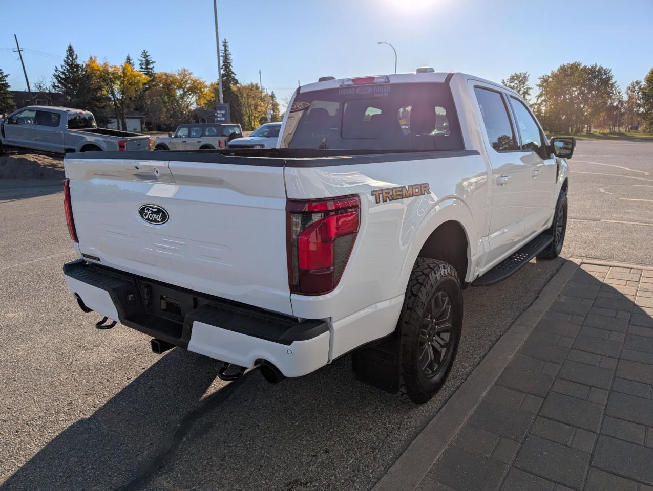 2025 Ford F-150 Tremor Photo5