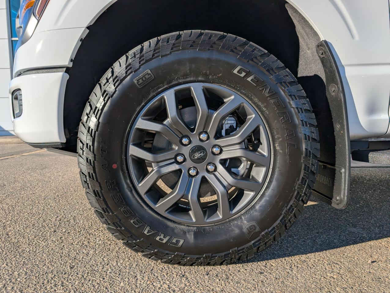 2025 Ford F-150 Tremor Photo5