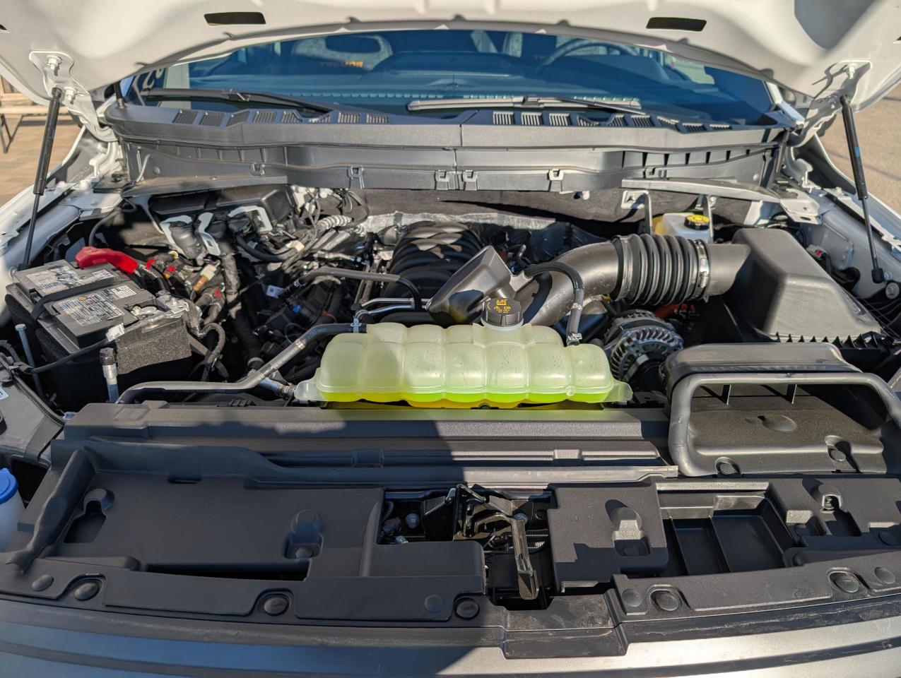 2025 Ford F-150 Tremor Photo5
