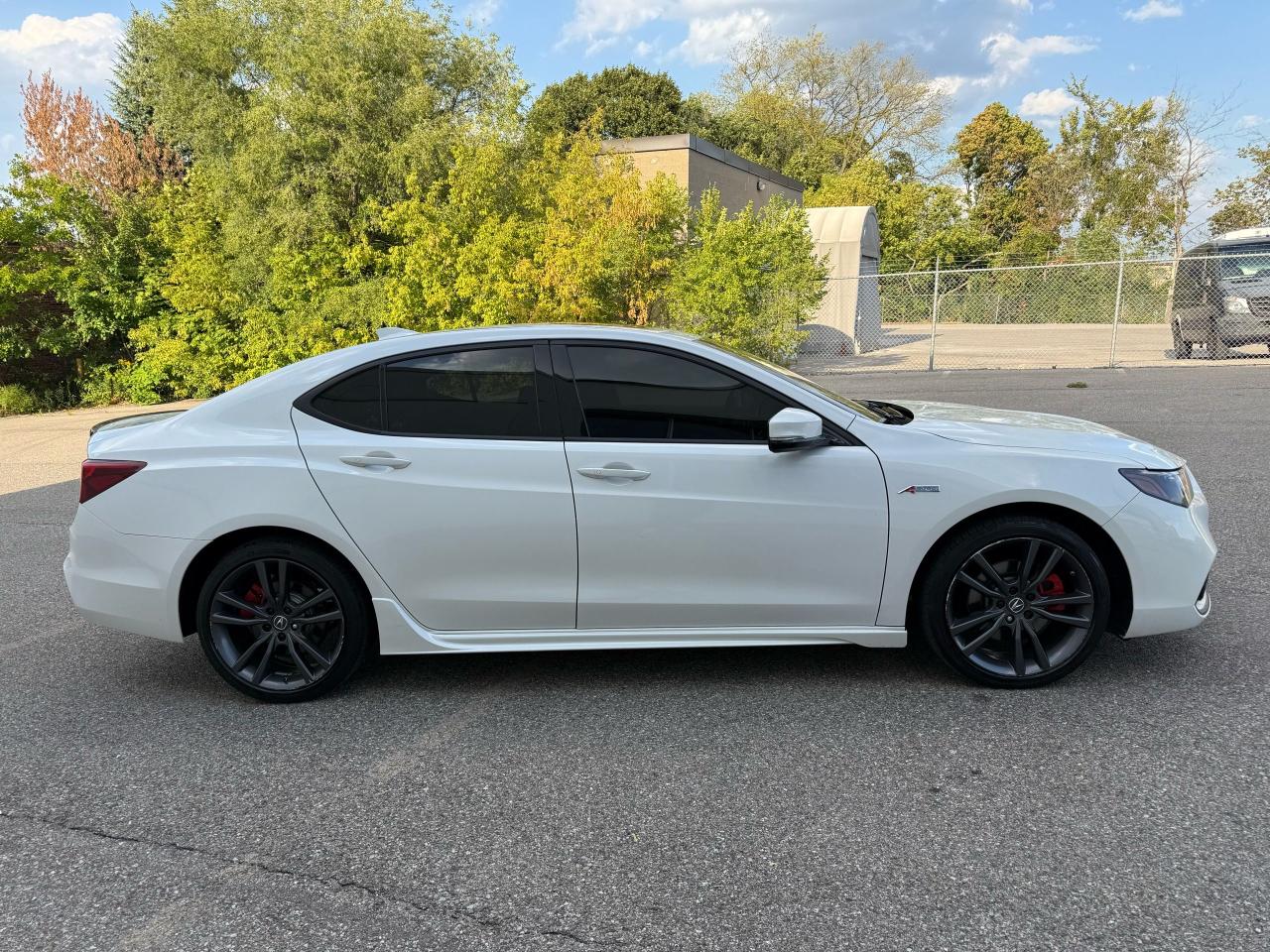 2019 Acura TLX SH-AWD Sedan w/Red Leather Photo3