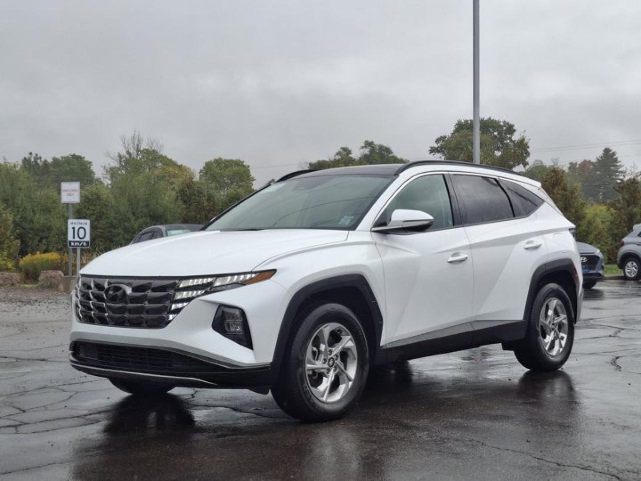 Used 2024 Hyundai Tucson Trend AWD | Leather | Pano Roof | Heated Wheel + Seats | CarPlay + Android | Rear Camera | and More! for sale in Guelph, ON