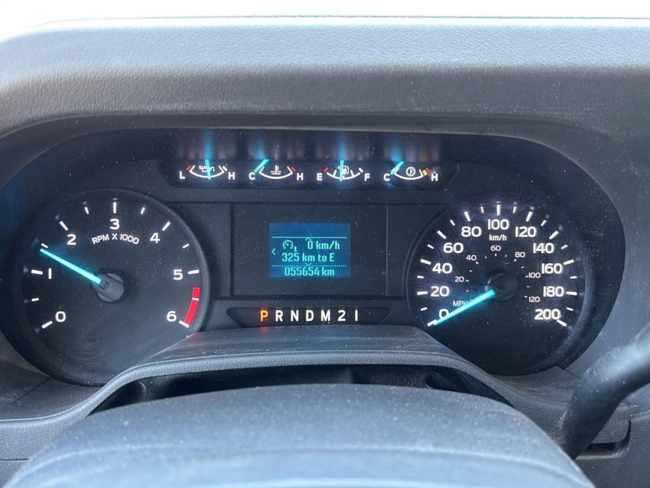 2024 Ford E-Series Cutaway 7.3L GAS ENGINE DRW, 176"WB 16' BOX! Photo