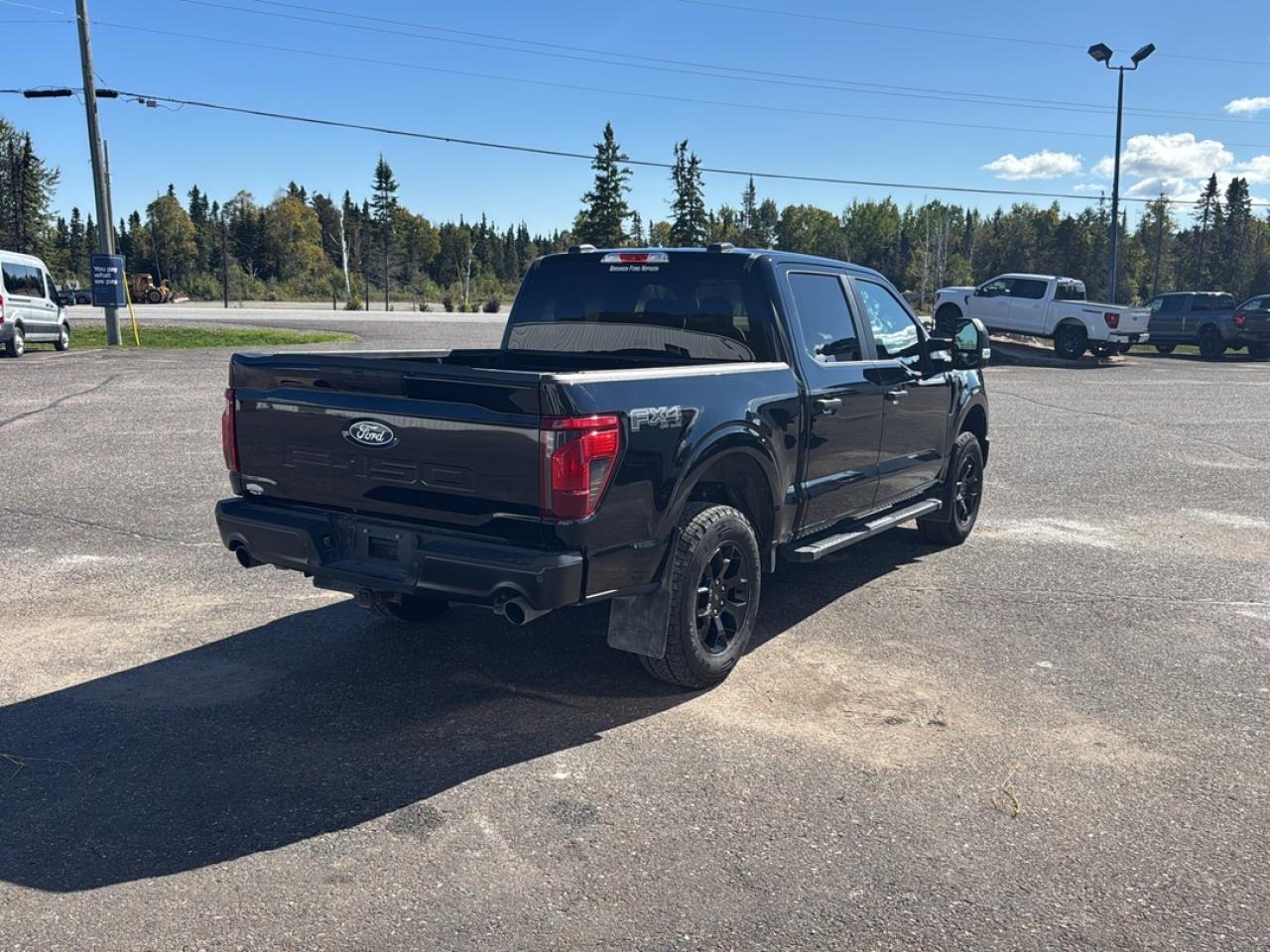 2024 Ford F-150 STX Photo4