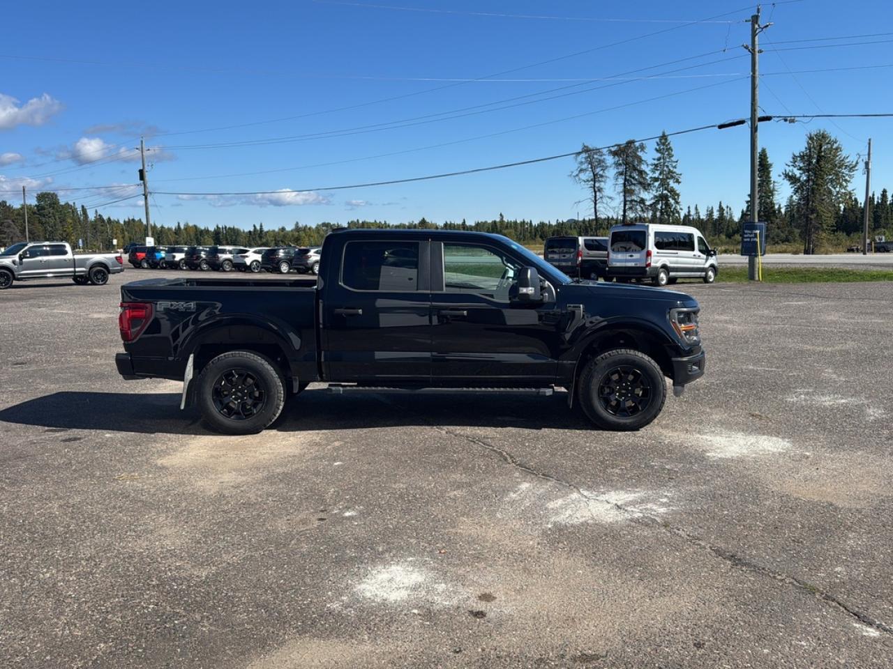 2024 Ford F-150 STX Photo3