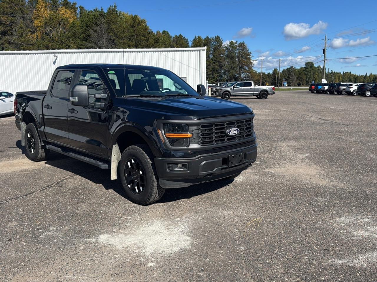 2024 Ford F-150 STX Photo