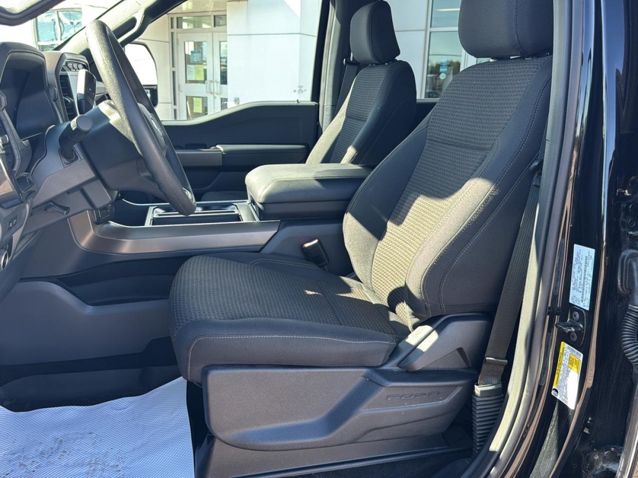 2024 Ford F-150 STX Photo