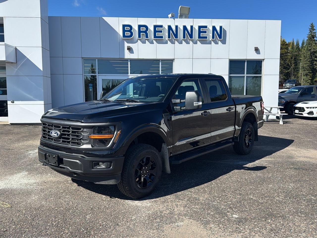 2024 Ford F-150 STX Photo