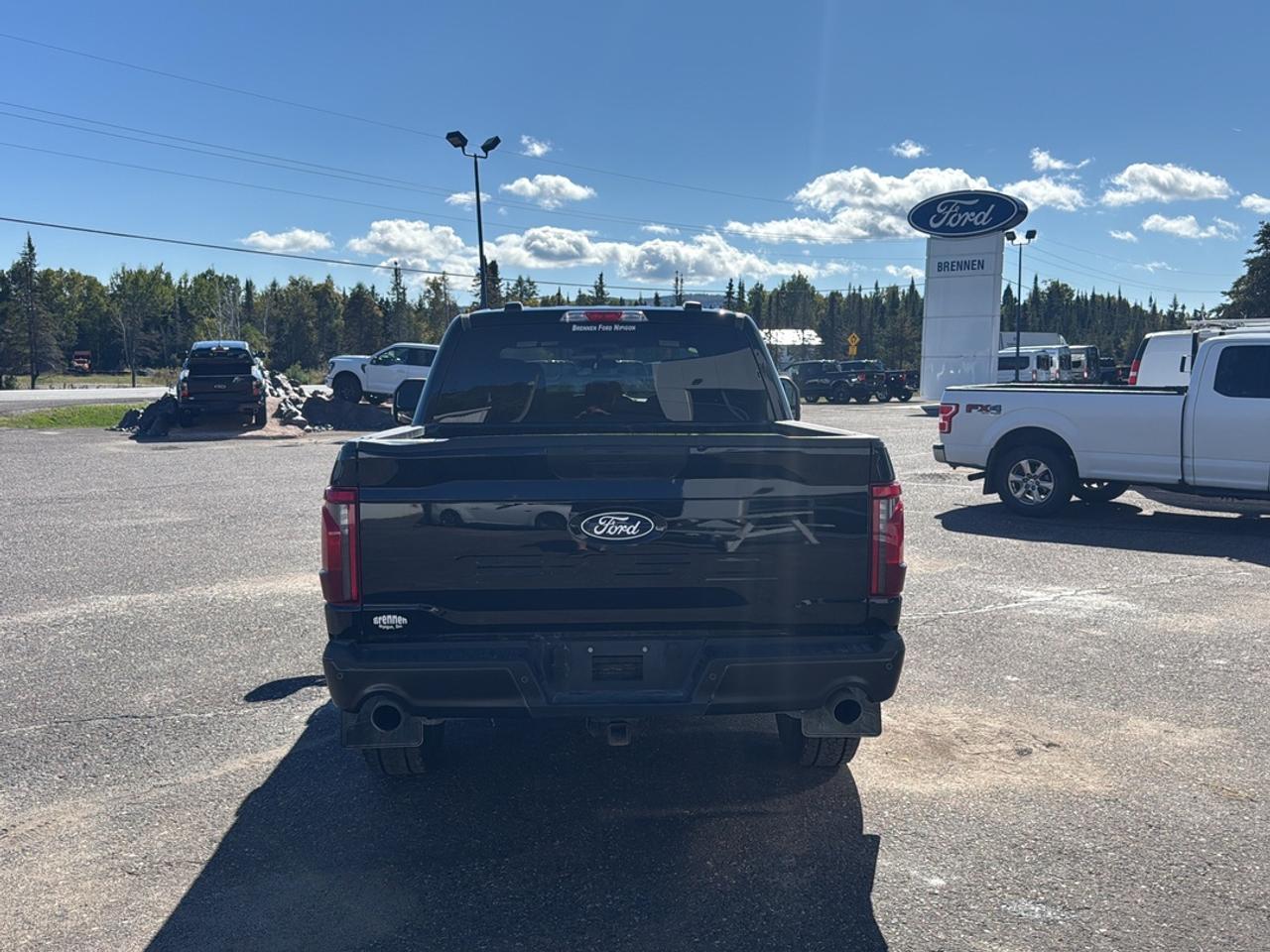 2024 Ford F-150 STX Photo