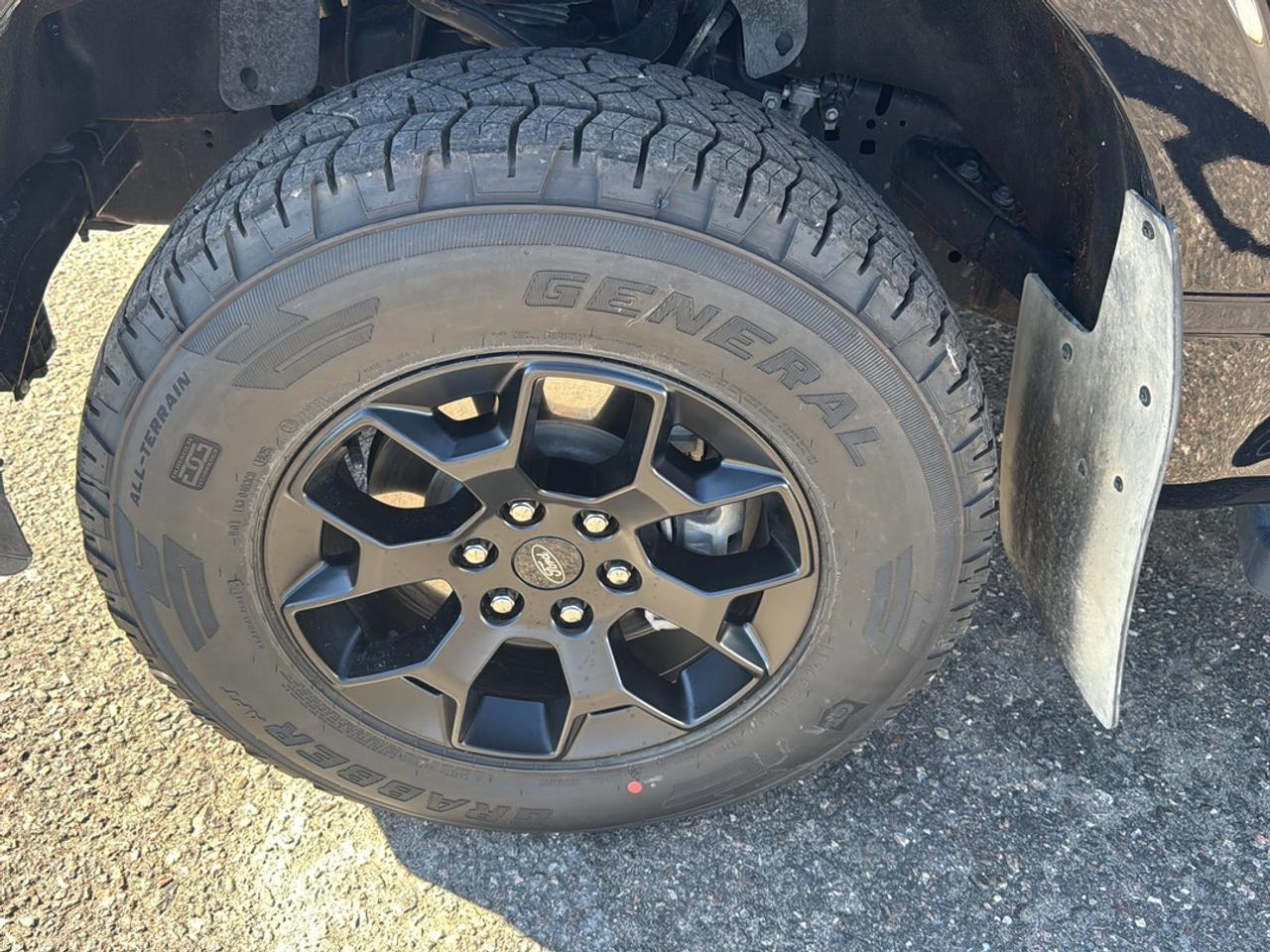 2024 Ford F-150 STX Photo