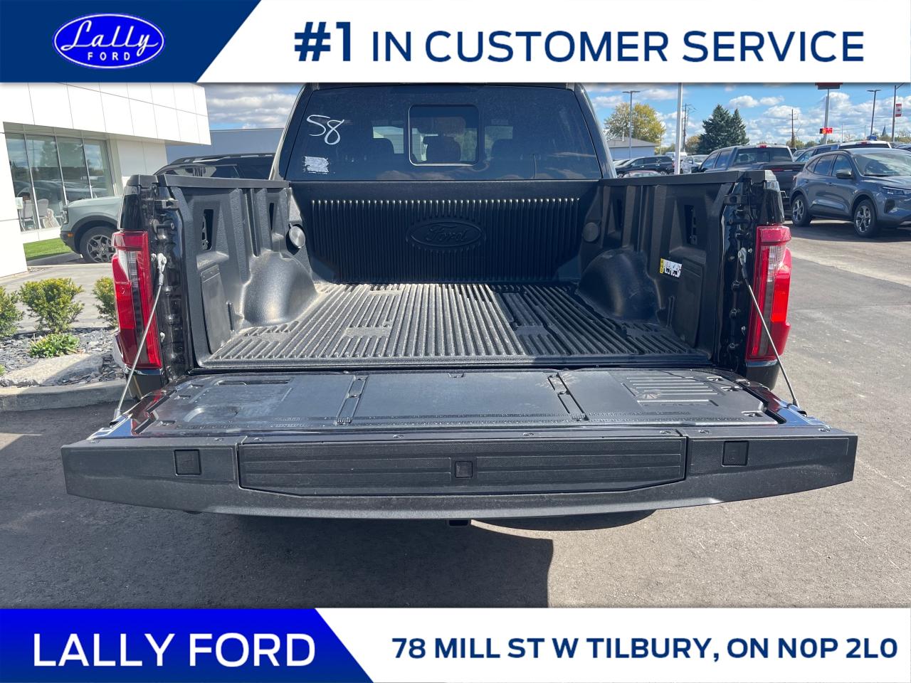 2025 Ford F-150 XLT Photo