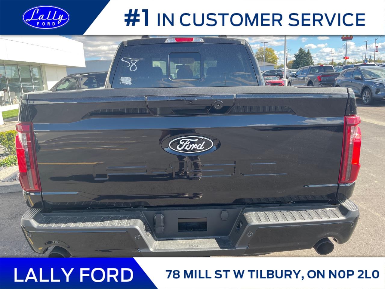 2025 Ford F-150 XLT Photo