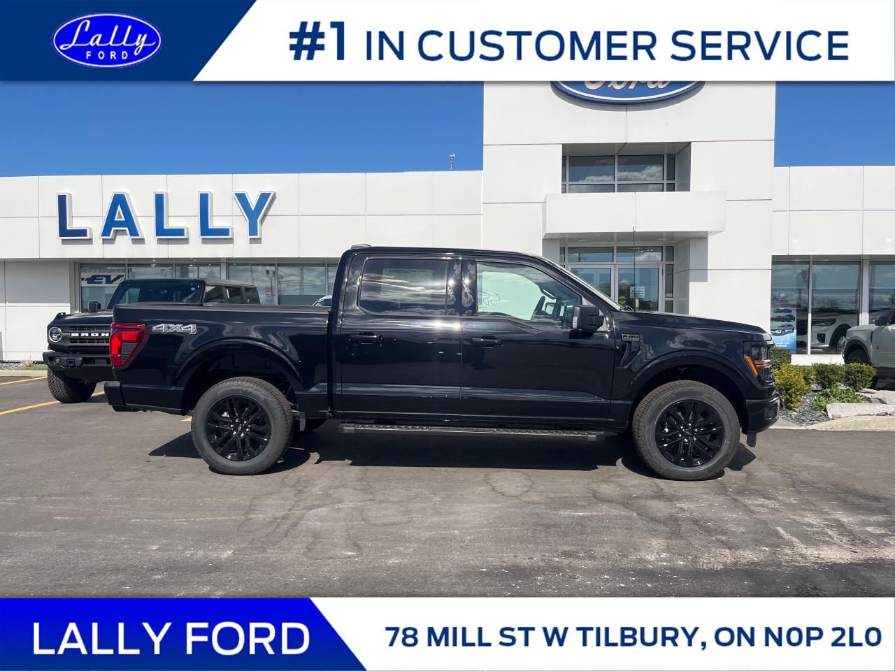 2025 Ford F-150 XLT Photo